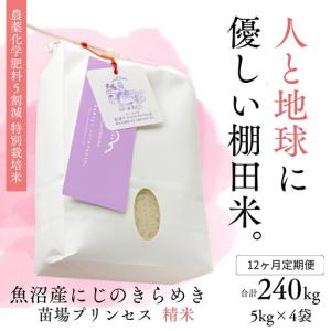 ふるさと納税 【令和8年産先行予約】【12ヶ月定期便】【農薬化学肥料5割減】魚沼産にじのきらめき苗場プリンセス特別栽培米 精米20kg(5kg×4.. 新潟県津南町