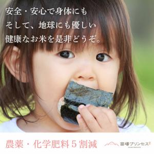 ふるさと納税 【令和8年産先行予約】【12ヶ月...の詳細画像1