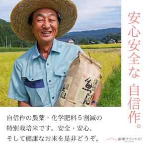ふるさと納税 【令和8年産先行予約】【12ヶ月...の詳細画像2