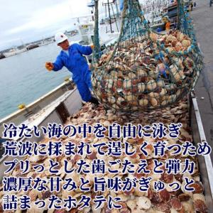 ふるさと納税 15-399 北海道オホーツク海...の詳細画像1