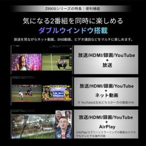 ふるさと納税 TVS REGZA【標準設置費込...の詳細画像3