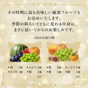 ふるさと納税 定期便【化粧箱入り1段】厳選フル...の詳細画像1