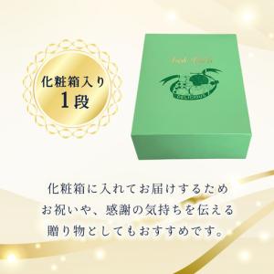 ふるさと納税 定期便【化粧箱入り1段】厳選フル...の詳細画像3