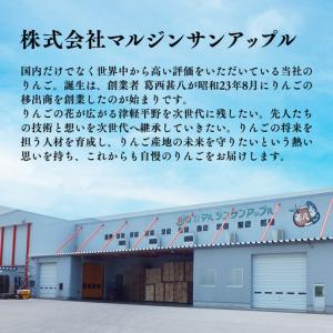 ふるさと納税 りんご 【2027年4月発送開始...の詳細画像1