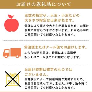 ふるさと納税 りんご 【2027年6月発送開始...の詳細画像2