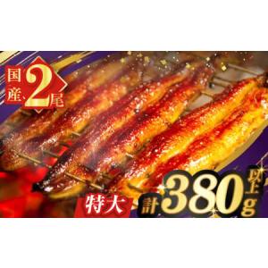 ふるさと納税 うなぎ蒲焼特大2尾(さんしょう・たれ付き)計380g以上 鰻 魚 魚介 加工品 国産_T026-0061 宮崎県都農町