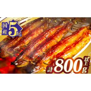 ふるさと納税 皮まで柔らか とても大きな国産新仔うなぎ蒲焼 220 ふるさと納税 皮まで柔らか とても大きな国産新仔うなぎ蒲焼 220