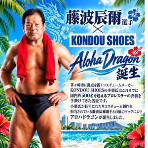 ふるさと納税 アロハドラゴン 速乾ドライTシャ...の詳細画像3