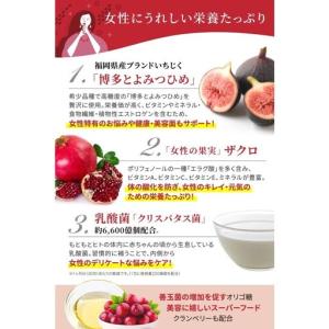ふるさと納税 わたしの酵活 30包×2箱 福岡...の詳細画像4