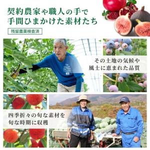 ふるさと納税 定期便 6ヶ月分 わたしの酵活 ...の詳細画像3