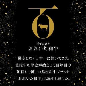 ふるさと納税 <定期便 全6回>おおいた和牛 ...の詳細画像3
