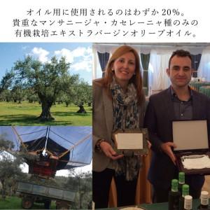 ふるさと納税 オリーブオイル 定期便 6ヶ月 ...の詳細画像3