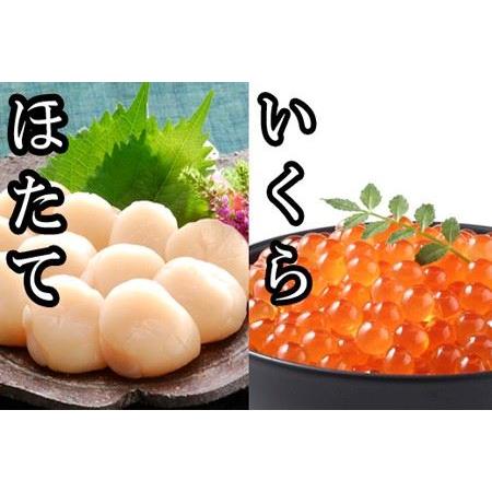 ふるさと納税 いくら醤油漬け100g×2P、ほたて貝柱500g×2P C-30041 北海道根室市