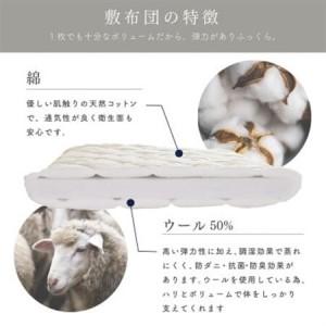 ふるさと納税 APHRODITA 日葵 ボリュ...の詳細画像1