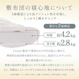 ふるさと納税 APHRODITA 日葵 ボリュ...の詳細画像2