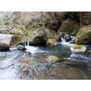 ふるさと納税 【日本製・渓流竿】サンテック F...の詳細画像4