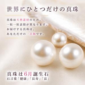 ふるさと納税 あこや本真珠 ピアス 8mm珠 ...の詳細画像3