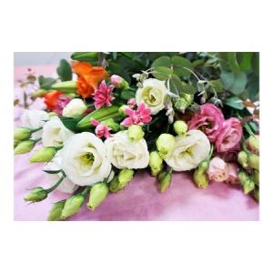 ふるさと納税 【年4回春夏秋冬】季節のお花バラエティセット定期便★あんずの里【随時開始】[G7009] 福岡県福津市