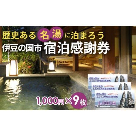 ふるさと納税 伊豆の国市宿泊感謝券（1000円×9枚） 静岡県伊豆の国市