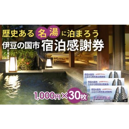 ふるさと納税 伊豆の国市宿泊感謝券（1000円×30枚） 静岡県伊豆の国市