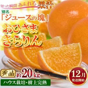 ふるさと納税 12月発送開始 おひさまきらりん 秀品 約20kg 【今村農園】 果物 みかん 期間限定 数量限定 九州 大分県 ＜107-027＞ 大分県杵築市