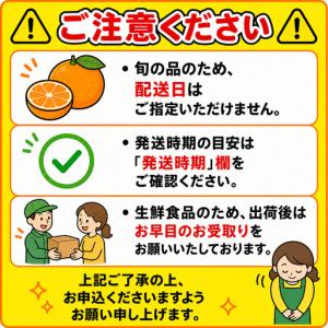 ふるさと納税 12月発送開始 おひさまきらりん...の詳細画像4