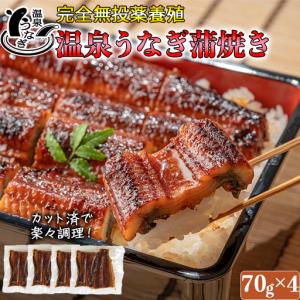ふるさと納税 国産 温泉うなぎ 蒲焼 カット 7...の商品画像