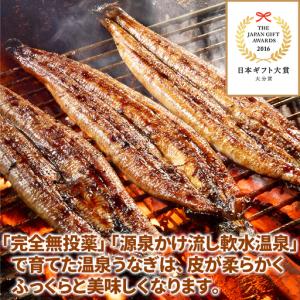 ふるさと納税 国産 温泉うなぎ 蒲焼 カット ...の詳細画像1
