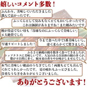 ふるさと納税 国産 温泉うなぎ 蒲焼 カット ...の詳細画像2