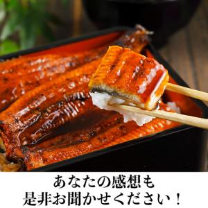 ふるさと納税 国産 温泉うなぎ 蒲焼 カット ...の詳細画像3