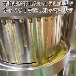 ふるさと納税 無農薬栽培 エゴマオイル (EG...の詳細画像3