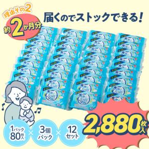 ふるさと納税 水分たっぷり純水99% おしりふ...の詳細画像1