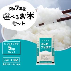 ふるさと納税 米 精米 令和7年産 にじのきらめき 5kg スピード発送 茨城県八千代町