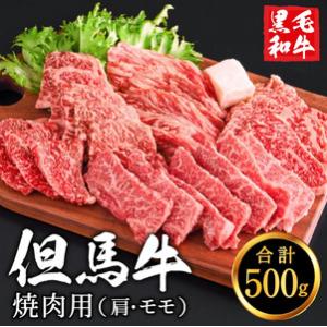 ふるさと納税 010AA05N.但馬牛経産牛　焼肉用（肩・モモ）500ｇ
