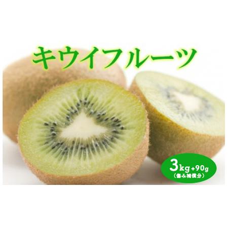 ふるさと納税 ＜2024年11月より発送＞厳選 キウイフルーツ3kg＋90g（傷み補償分）　※北海道...