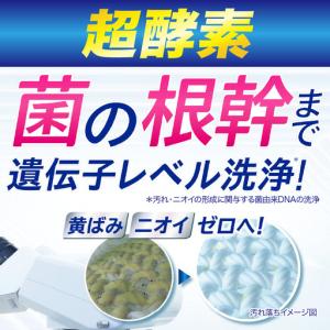 ふるさと納税 洗濯洗剤 NANOX one 洗...の詳細画像1