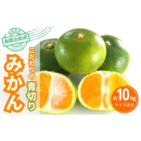 ふるさと納税 【2026年秋頃発送予約分】【農家直送】こだわりの青切りみかん 約10kg  有機質肥...