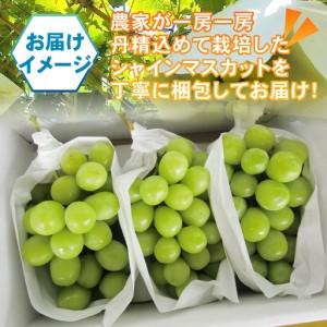 ふるさと納税 パリッとジューシー甲州市産シャイ...の詳細画像1