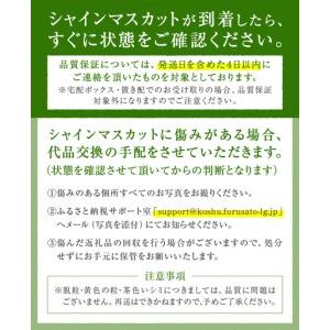 ふるさと納税 パリッとジューシー甲州市産シャイ...の詳細画像2