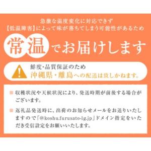 ふるさと納税 パリッとジューシー甲州市産シャイ...の詳細画像4