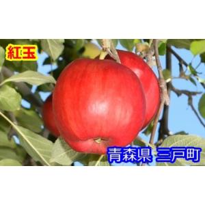 ふるさと納税 りんご【紅玉】20〜28玉（約4.5kg）【2024年産・先行予約】 青森県三戸町