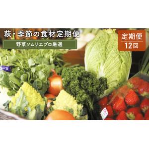 ふるさと納税 野菜セット 定期便 12ヶ月 萩・季節の食材 野菜ソムリエプロ厳選 野菜 果物 加工品 セット 詰め合わせ お楽しみ 山口県萩市｜furunavi