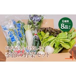 ふるさと納税 北海道産季節の野菜詰め合わせ 6種類8品 【310005】 北海道恵庭市