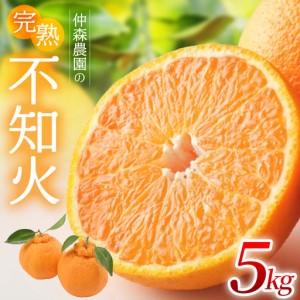 ふるさと納税 不知火 仲森農園の完熟不知火 5kg【nkmr0003】 三重県熊野市
