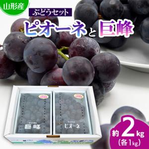 ふるさと納税 山形のぶどうセット 秀品 約2kg(ピオーネ1kg2房前後・巨峰1kg2房前後)[8月中旬〜9月中旬お届け]【令和8年産先行予約】FS24-571 く.. 山形県山形市
