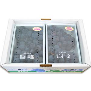 ふるさと納税 山形のぶどうセット 秀品 約2k...の詳細画像1