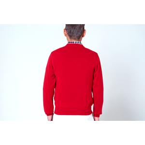 ふるさと納税 日本製 カシミヤ100% Vセー...の詳細画像3