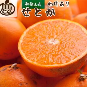 ふるさと納税 ＜2月より発送＞家庭用 せとか2.5kg＋250g（傷み補償分）【柑橘・春みかんの王様...