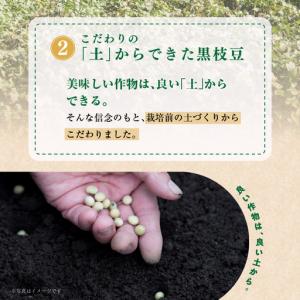 ふるさと納税 朝採り 黒枝豆 1.8kg 畑か...の詳細画像2