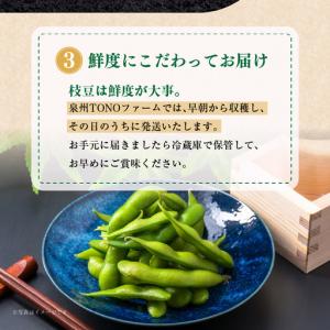 ふるさと納税 朝採り 黒枝豆 1.8kg 畑か...の詳細画像3